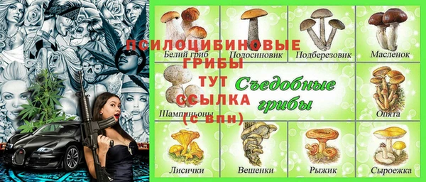 мдпв Бородино