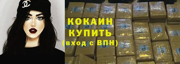 молекула духа Богородицк