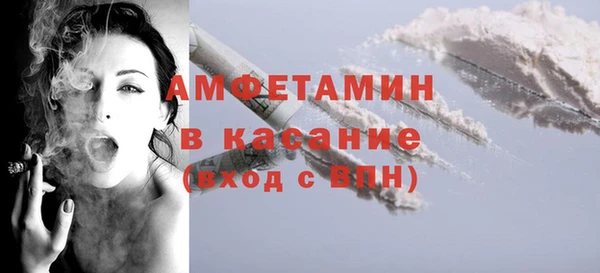 мдпв Бородино