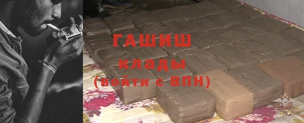 молекула духа Богородицк