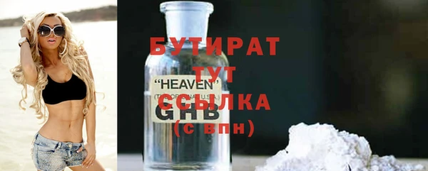 мдпв Бородино