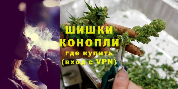 мдпв Бородино