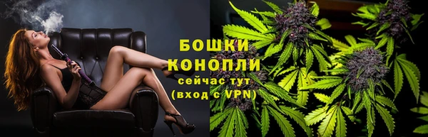 ГАЛЛЮЦИНОГЕННЫЕ ГРИБЫ Бронницы